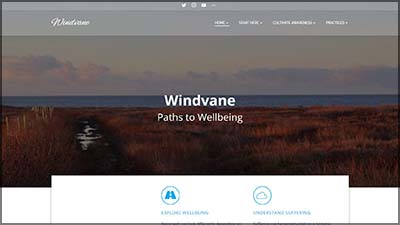 Windvane website
