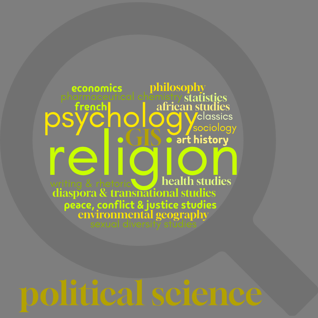 word cloud representing sample of other programs DSR students study
