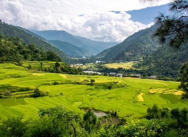 Bhutan landscape