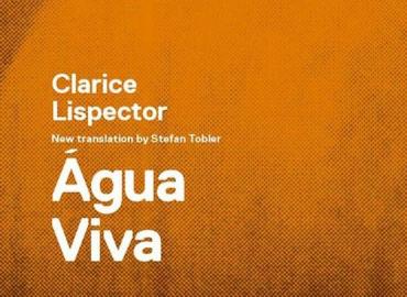 Detail of book cover, Agua Viva