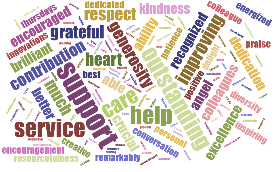 "All About Fereshteh" - Word cloud created from an anonymized version of the DSR’s nomination package compiled for the Faculty of Arts & Science Dean’s Distinguished Long Service Award.
